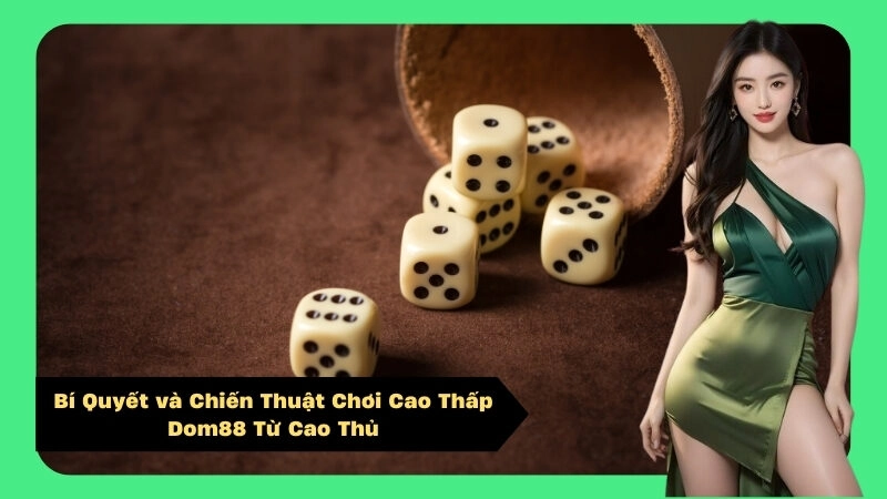 Bí Quyết và Chiến Thuật Chơi Cao Thấp Dom88 Từ Cao Thủ