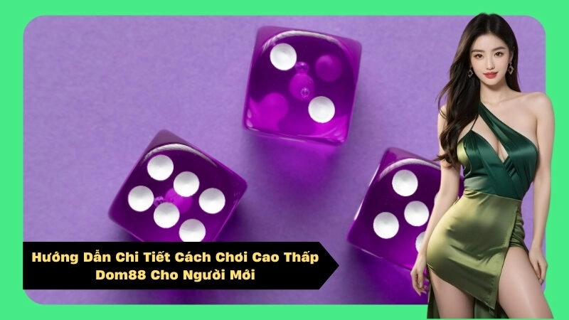 Hướng Dẫn Chi Tiết Cách Chơi Cao Thấp Dom88 Cho Người Mới